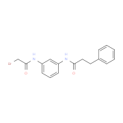 N-{3-[(2-Bromoacetyl)amino]phenyl}-3-phenylpropanamide