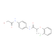 N-{4-[(2-Bromoacetyl)amino]phenyl}-2-(2-chlorophenoxy)propanamide