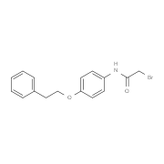 2-Bromo-N-[4-(phenethyloxy)phenyl]acetamide
