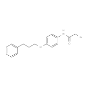 2-Bromo-N-[4-(3-phenylpropoxy)phenyl]acetamide