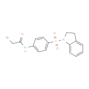 2-Bromo-N-[4-(2,3-dihydro-1H-indol-1-ylsulfonyl)-phenyl]acetamide