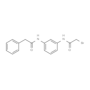 2-Bromo-N-{3-[(2-phenylacetyl)amino]-phenyl}acetamide