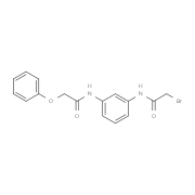2-Bromo-N-{3-[(2-phenoxyacetyl)amino]-phenyl}acetamide