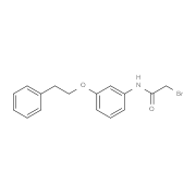 2-Bromo-N-[3-(phenethyloxy)phenyl]acetamide