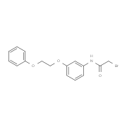 2-Bromo-N-[3-(2-phenoxyethoxy)phenyl]acetamide