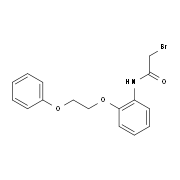 2-Bromo-N-[2-(2-phenoxyethoxy)phenyl]acetamide