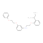 N-{2-[2-(sec-Butyl)phenoxy]ethyl}-3-(2-phenoxyethoxy)aniline