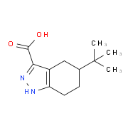 5-tert-Butyl-4,5,6,7-tetrahydro-1H-indazole-3-carboxylic acid