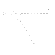 1,2-diarachidoyl-sn-glycero-3-phosphocholine