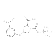 (2S,4S)-1-(tert-Butoxycarbonyl)-4-(3-nitro-phenoxy)-2-pyrrolidinecarboxylic acid