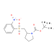 tert-butyl-2-((2-nitrophenylsulfonyl)methyl)pyrrolidine-1-carboxylate