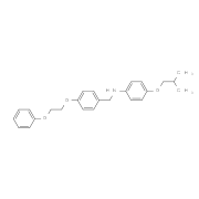 4-Isobutoxy-N-[4-(2-phenoxyethoxy)benzyl]aniline