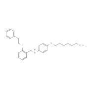 4-(Heptyloxy)-N-[2-(phenethyloxy)benzyl]aniline