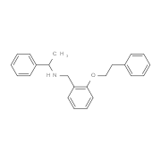 N-[2-(Phenethyloxy)benzyl]-1-phenyl-1-ethanamine
