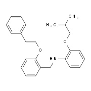 2-Isobutoxy-N-[2-(phenethyloxy)benzyl]aniline