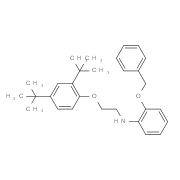 2-(Benzyloxy)-N-{2-[2,4-di(tert-butyl)phenoxy]-ethyl}aniline