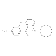 1-(Cyclooctylamino)-6-methyl-9H-xanthen-9-one