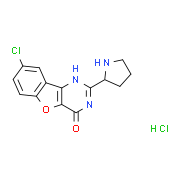 XL413 hydrochloride