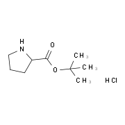 H-D-Pro-OtBu.HCl