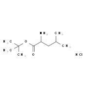 H-Leu-OtBu.HCl