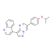 DMH1