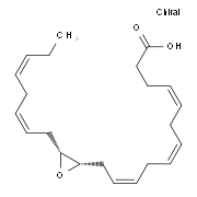(±)13(14)-EpDPA