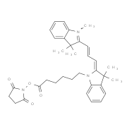 Cy3 NHS ester