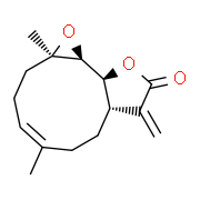 小白菊内酯