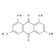 大黄素