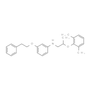 N-[2-(2,6-Dimethylphenoxy)propyl]-3-(phenethyloxy)aniline