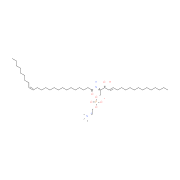 N-nervonoyl-D-erythro-sphingosylphosphorylcholine