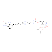 DEPMPO-biotin
