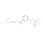 N-(3-Dimethylaminopropyl)-3-(4,4,5,5-tetramethyl-1,3,2-dioxaborolan-2-yl)benzamide