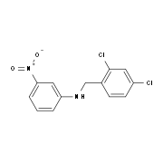 N-(2,4-Dichlorobenzyl)-N-(3-nitrophenyl)amine