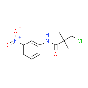 3-Chloro-2,2-dimethyl-N-(3-nitrophenyl)propanamide
