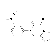 2-Chloro-N-(3-nitro-phenyl)-N-thiophen-2-ylmethyl-acetamide