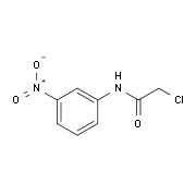 2-Chloro-N-(3-nitrophenyl)acetamide