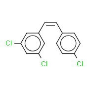 PDM 2
