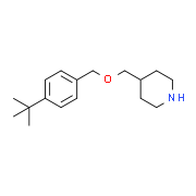 4-(tert-Butyl)benzyl 4-piperidinylmethyl ether