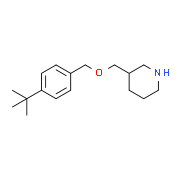 4-(tert-Butyl)benzyl 3-piperidinylmethyl ether