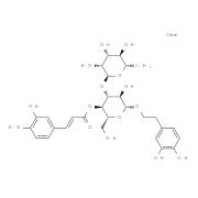 类叶升麻苷；毛蕊花糖苷；麦角甾苷