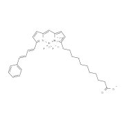 C11 BODIPY 581/591 脂质过氧化荧光探针