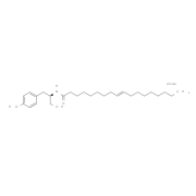 OMDM-2