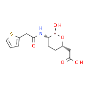 Vaborbactam