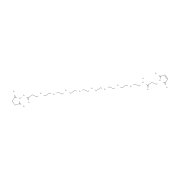 α-马来酰亚氨基丙酰-ω-琥珀酰亚胺-八聚乙二醇