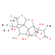 银杏内酯C