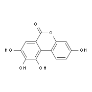 Urolithin M6