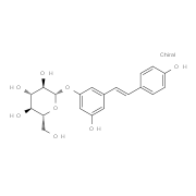 虎杖苷；白藜芦醇苷