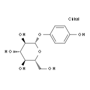 熊果苷；β-熊果苷