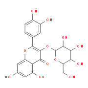 异槲皮苷；异栎素；罗布麻甲素；槲皮素-3-O-葡萄糖苷